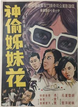 神偷姊妹花在线观看和下载
