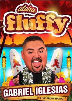 Gabriel Iglesias: Aloha Fluffy在线观看和下载