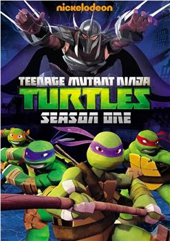 忍者神龟 第一季在线观看和下载
