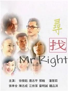 寻找mr.right在线观看和下载