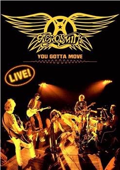 Aerosmith You Gotta Move在线观看和下载