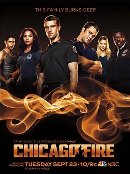 芝加哥烈焰 第三季在线观看和下载