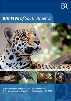 南美五猛兽在线观看和下载