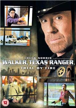 Walker, Texas Ranger: Trial by Fire在线观看和下载