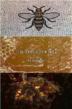 玛莎·卡妮领略神奇的蜜蜂在线观看和下载