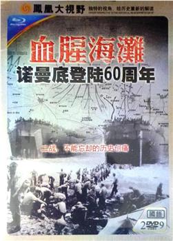 血腥海滩-诺曼底登陆60周年在线观看和下载