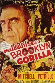 贝拉卢高希遇上布鲁克林的大猩猩在线观看和下载
