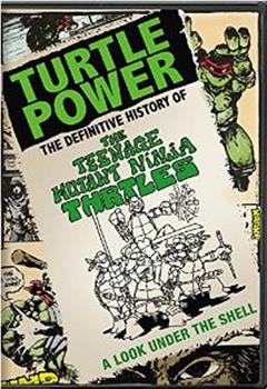 神龟力量：忍者神龟简明史在线观看和下载