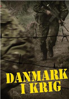 丹麦的战争在线观看和下载