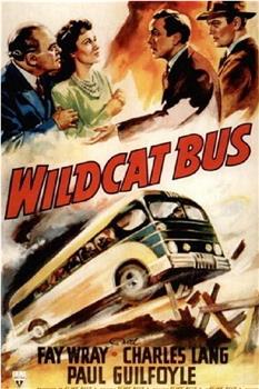 Wildcat Bus在线观看和下载