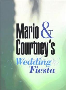 Mario & Courtney's Wedding Fiesta在线观看和下载