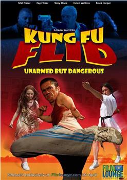 Kung Fu Flid在线观看和下载