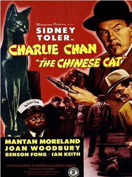华人侦探陈查理之中国猫在线观看和下载