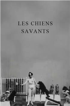 Les chiens savants在线观看和下载