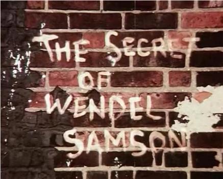 The Secret of Wendel Samson在线观看和下载