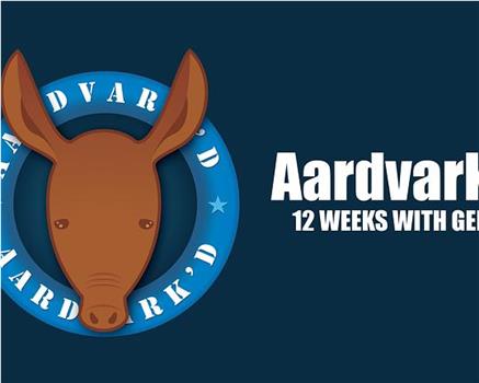 Aardvark'd: 12 Weeks with Geeks在线观看和下载