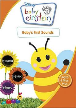 Baby Einstein: Baby's First Sounds在线观看和下载