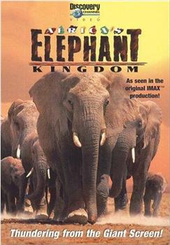 非洲大象王国在线观看和下载