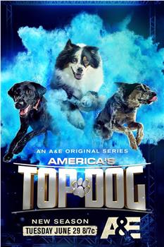 America's Top Dog在线观看和下载