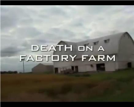 Death on a Factory Farm在线观看和下载