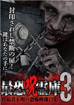 最恐呪霊庫3 投稿者不明の恐怖映像13集在线观看和下载