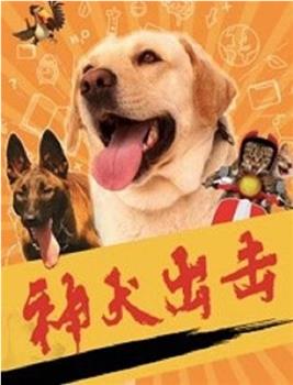 神犬出击在线观看和下载