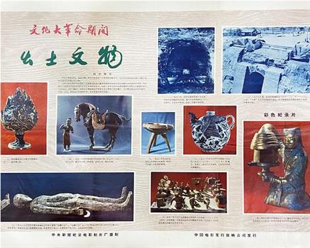 新闻简报1971年第22号：无产阶级文化大革命期间出土文物在线观看和下载