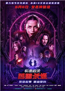 疾速追杀：芭蕾杀姬在线观看和下载