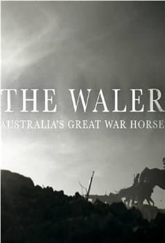 沃勒：澳大利亚的一战战马在线观看和下载