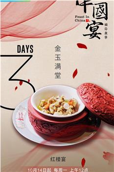 中国宴·福寿康宁在线观看和下载