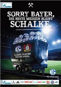 FC Schalke 04 vs Bayer 04 Leverkusen在线观看和下载