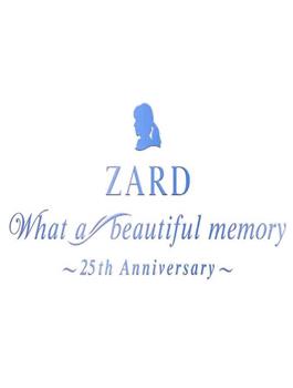 纪念ZARD 25周年演唱会在线观看和下载