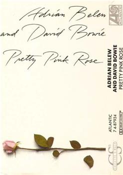 Adrian Belew & David Bowie: Pretty Pink Rose在线观看和下载