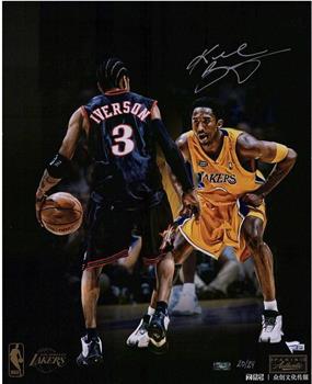 2000-2001 NBA 总冠军 洛杉矶湖人在线观看和下载