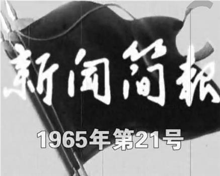 新闻简报1965年第21号在线观看和下载