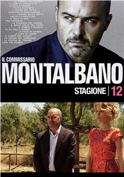 蒙塔巴诺督查 第12季 Inspector Montalbano Season 12 Season 12在线观看和下载