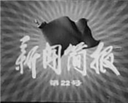 新闻简报1975年第22号在线观看和下载