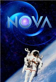 Nova Season 45在线观看和下载