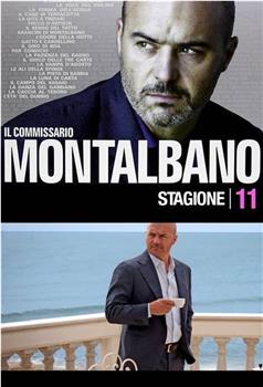蒙塔巴诺督查 第11季 Inspector Montalbano Season 11 Season 11在线观看和下载