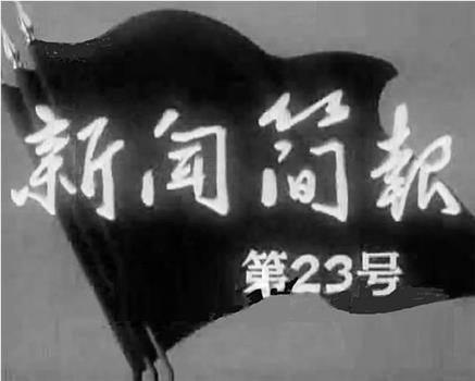 新闻简报1965年第23号在线观看和下载