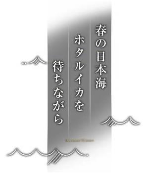 纪实72小时 春天的日本海 等待荧光乌贼在线观看和下载