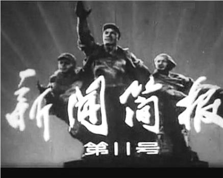 新闻简报1977年第11号在线观看和下载