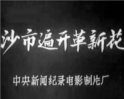 沙市遍开革新花在线观看和下载