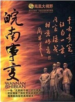 凤凰大视野：同室操戈——皖南事变解密在线观看和下载