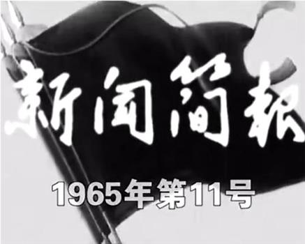 新闻简报1965年第11号在线观看和下载