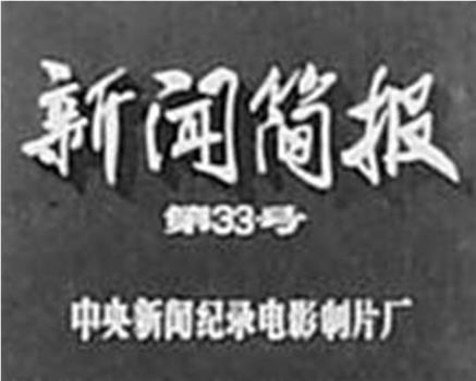 新闻简报1973年第33号在线观看和下载