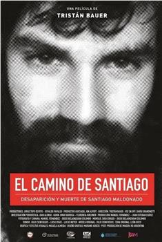 El Camino de Santiago在线观看和下载