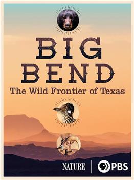 大本德：德克萨斯州的荒野边疆 第三十九季在线观看和下载