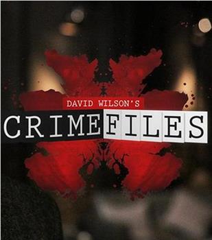 大卫·威尔森的犯罪档案在线观看和下载