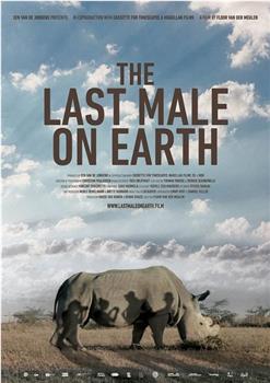 苏丹：最后的雄性犀牛在线观看和下载